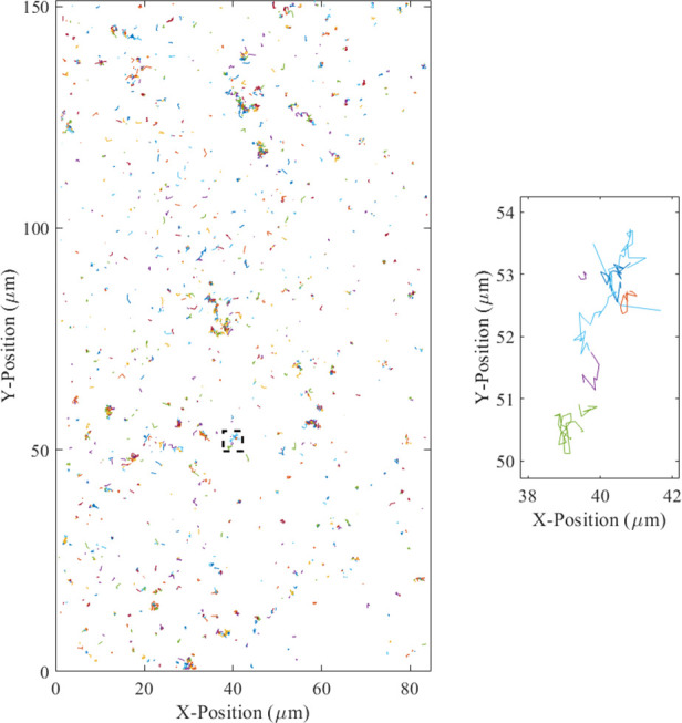 Figure 1—figure supplement 5.