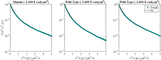 Figure 2—figure supplement 1.