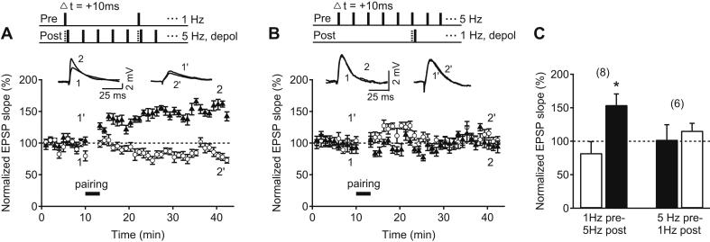 Fig. 2