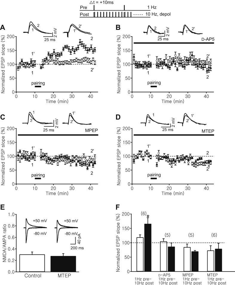 Fig. 4