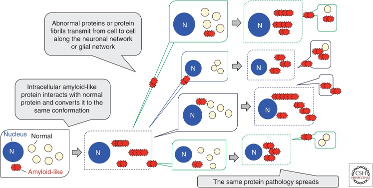 Figure 5.