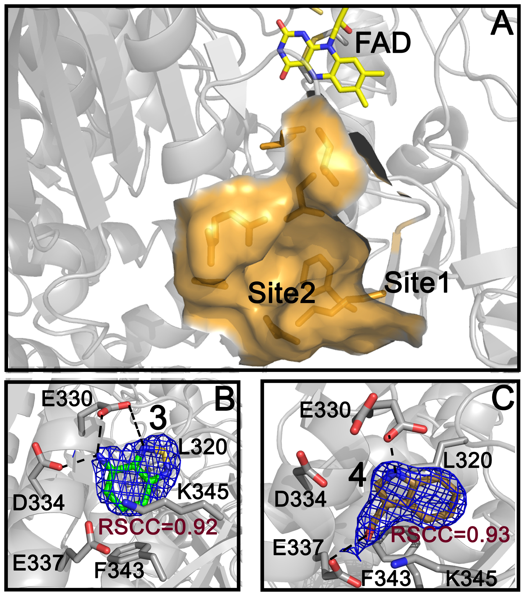 Figure 3.