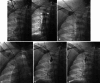 Fig. 5