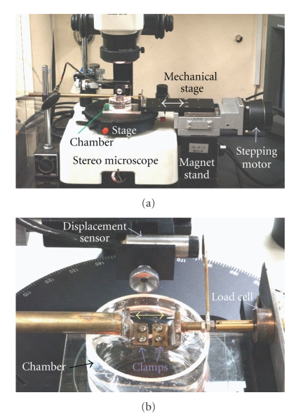 Figure 10