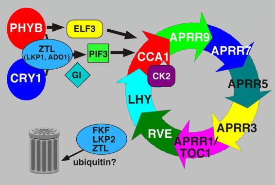 Figure 5.