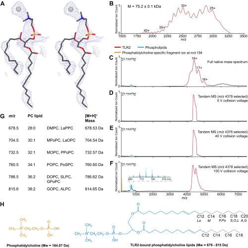 Fig. S5.