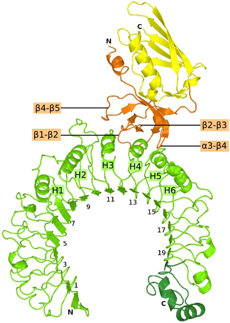 Fig. 1.