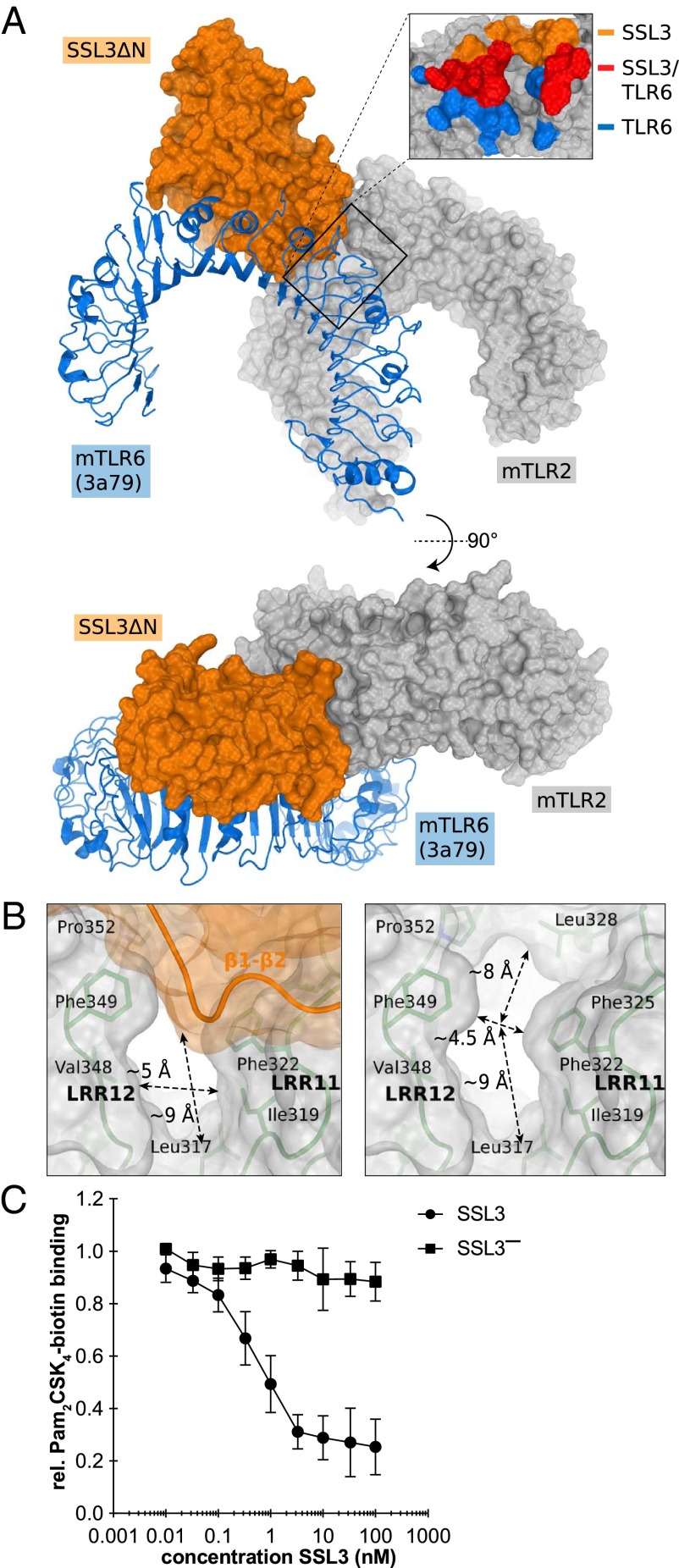 Fig. 3.