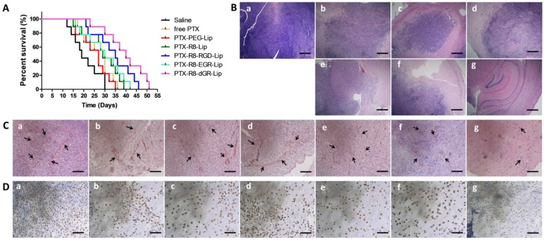 Fig 10