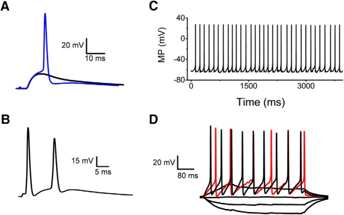 Figure 4.