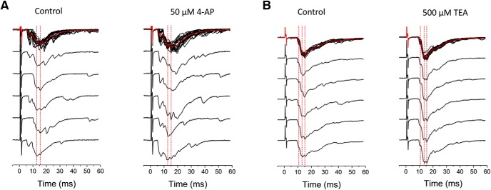 Figure 7.