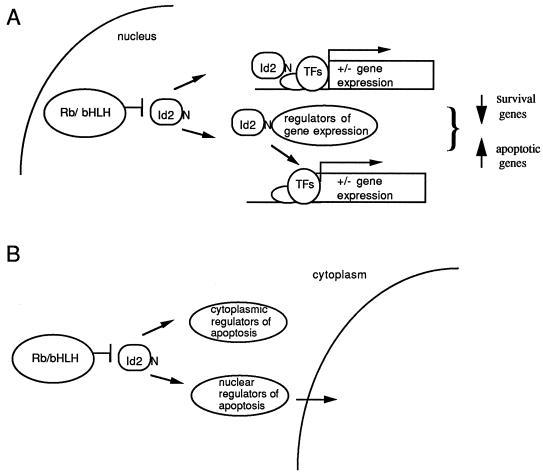 FIG. 8
