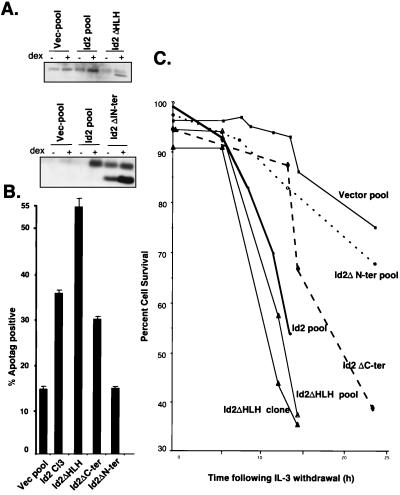 FIG. 6