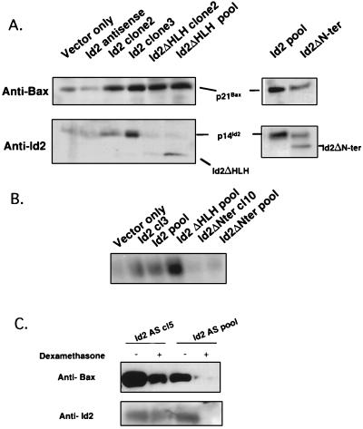 FIG. 7