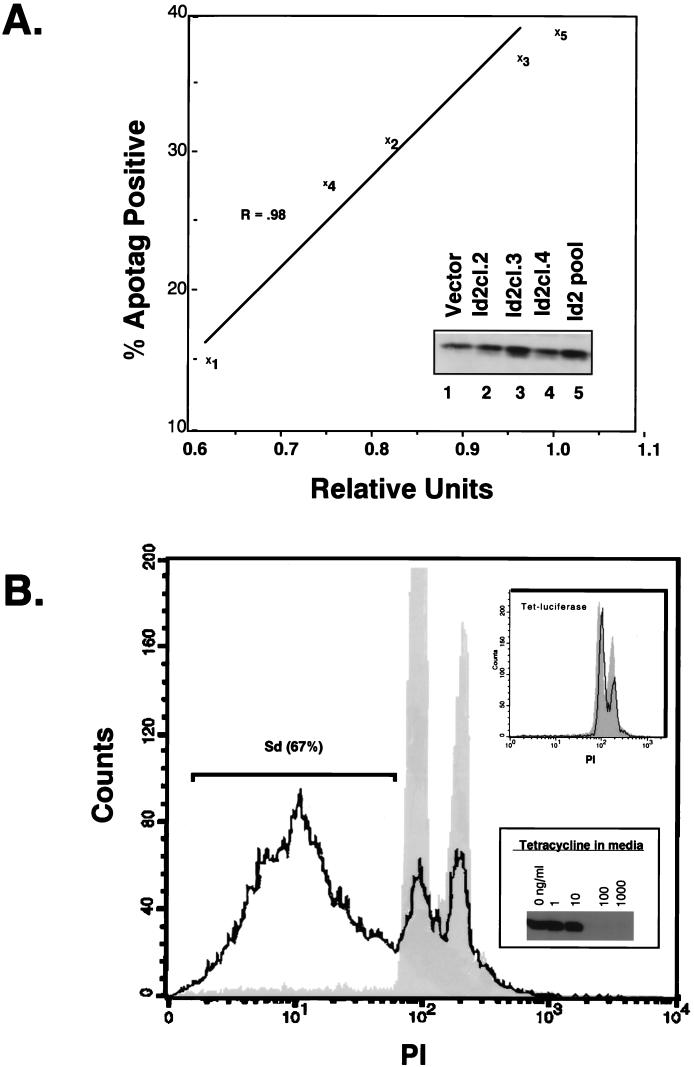 FIG. 3