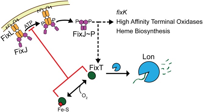 FIG 6