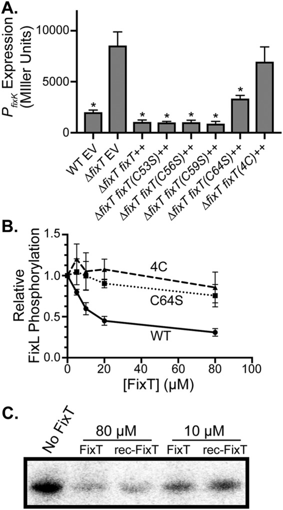 FIG 3