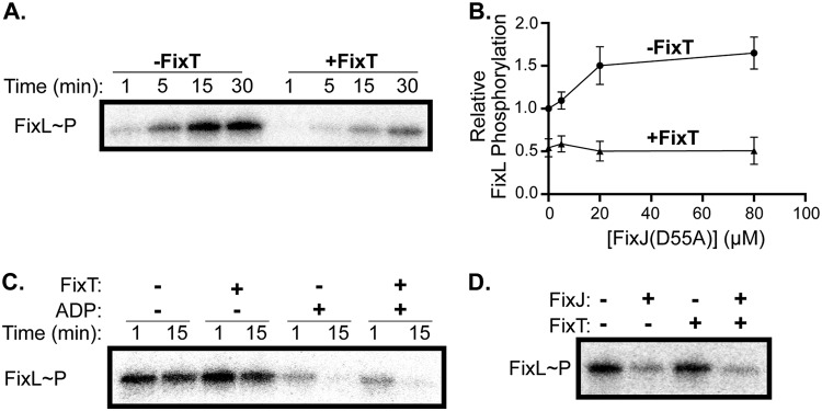 FIG 2