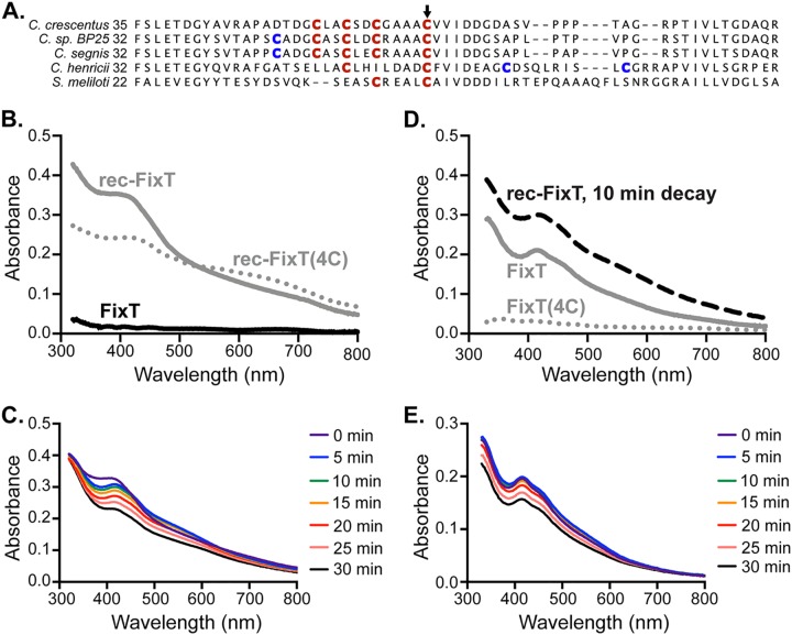 FIG 4