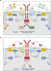 Figure 5:
