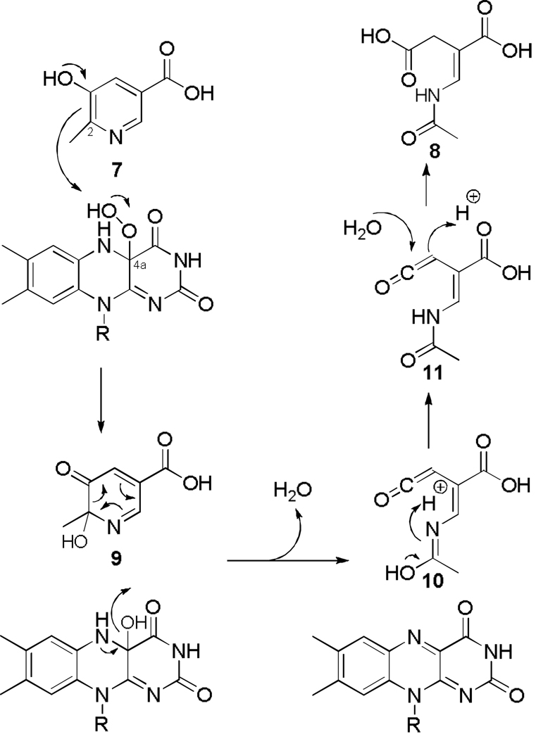 Figure 7