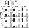 FIG 3