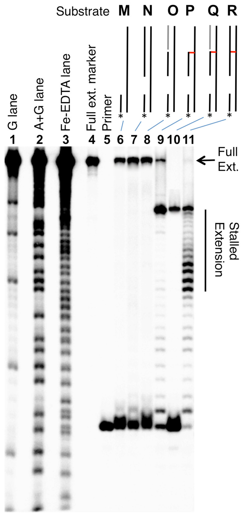 Figure 6.