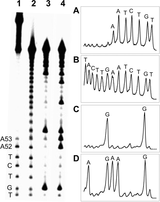 Figure 4.