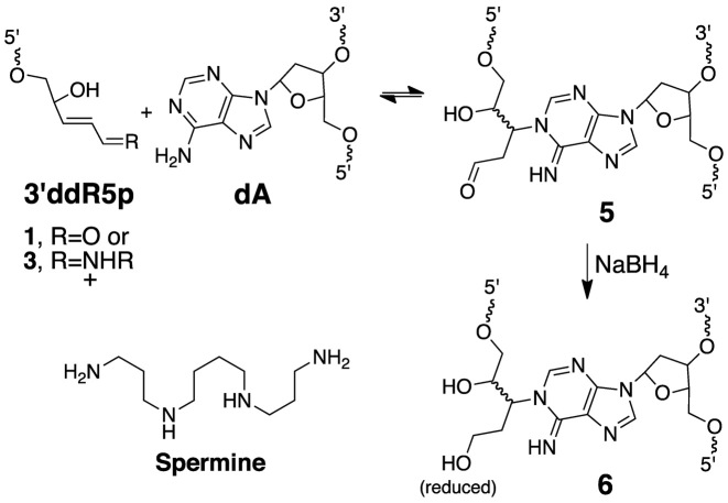 Scheme 3.