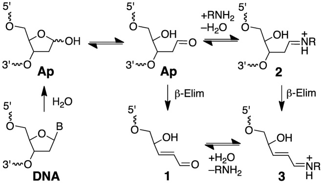 Scheme 1.