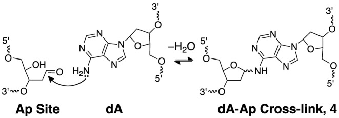 Scheme 2.