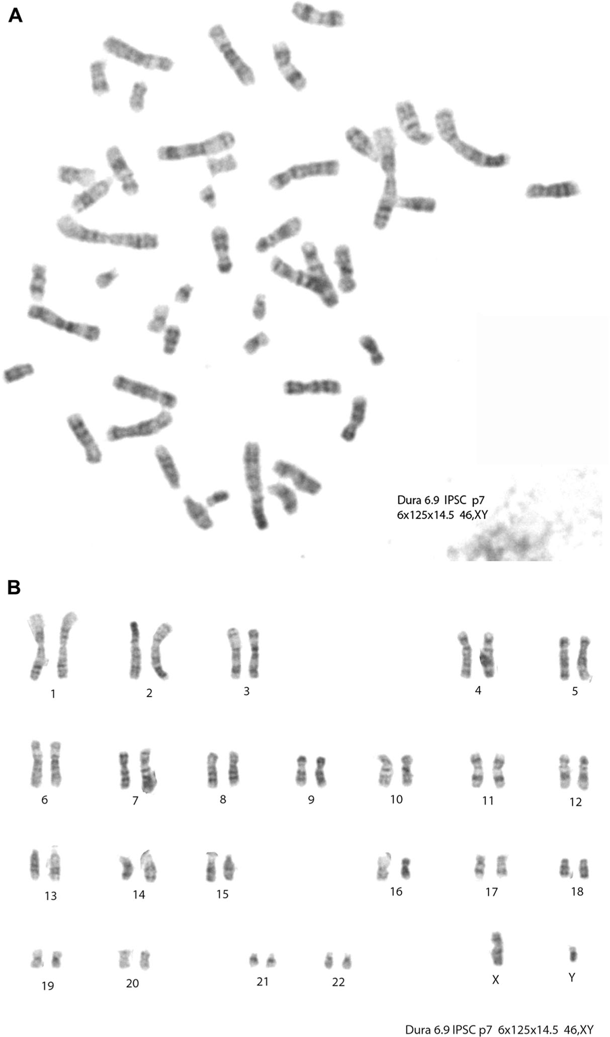 Figure 6.