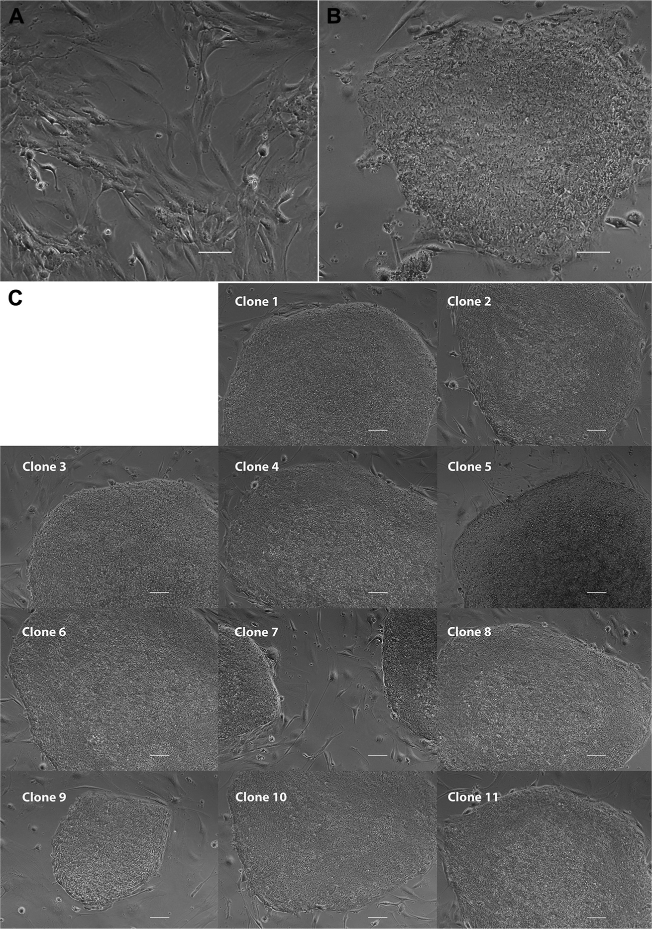 Figure 2.