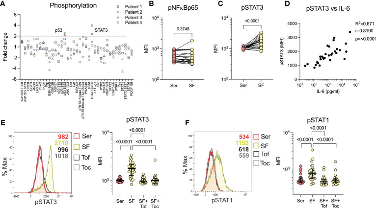 Figure 3