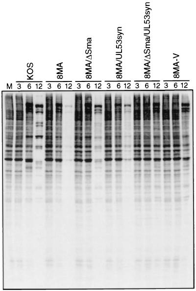 FIG. 10