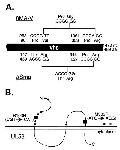 FIG. 8