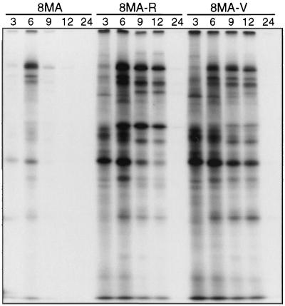 FIG. 7