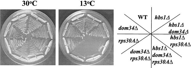 FIG. 5.