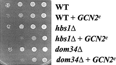 FIG. 7.