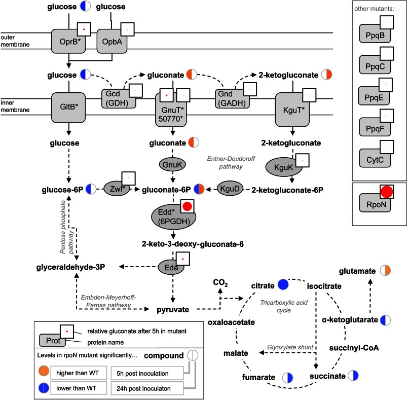 FIGURE 4.