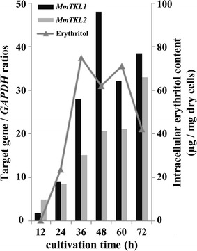 Fig. 7