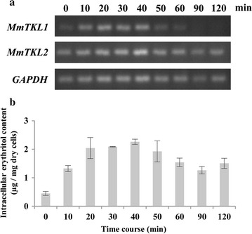 Fig. 4