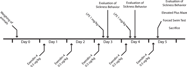 Fig.1