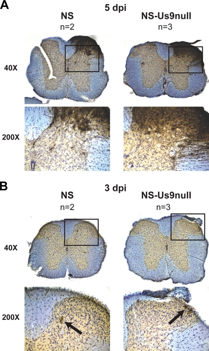 FIG. 8.