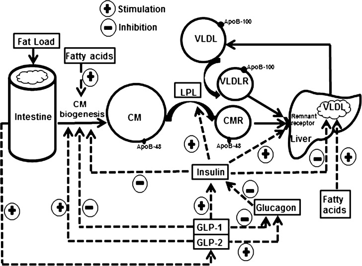 FIG. 1.