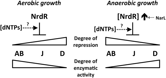 Fig 7