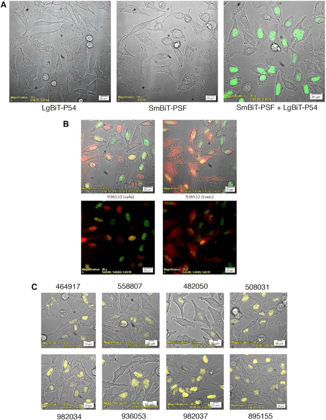 Figure 2.