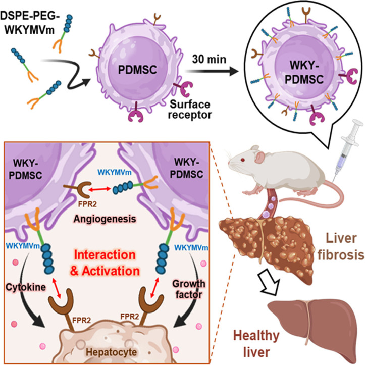 Image, graphical abstract