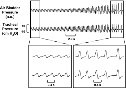 Fig. 5.