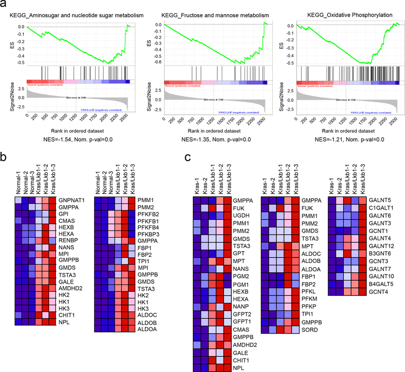 Extended Data Fig. 1